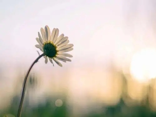 微商积极向上正能量励志短句