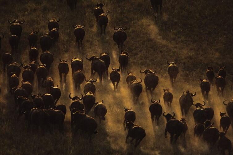 团队的力量的句子文案