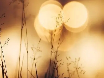 关系感情的说说句子文案