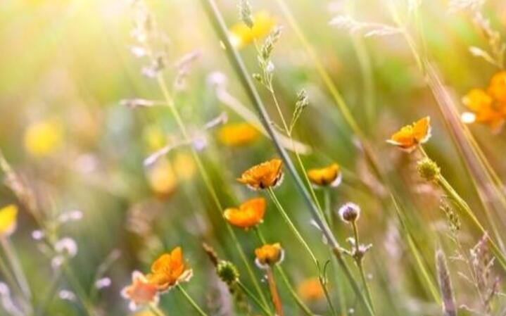 善变人心最现实的话