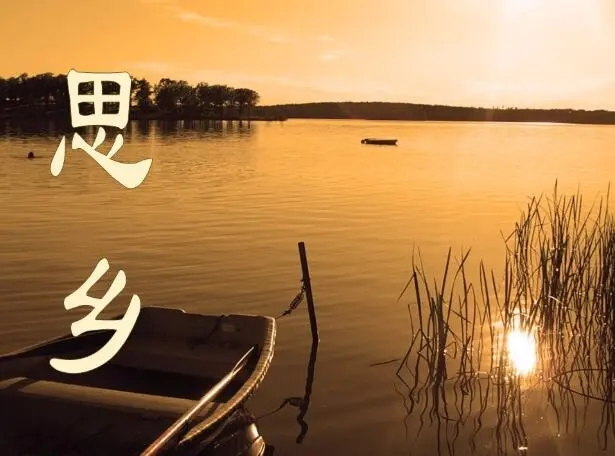 想念家乡的简短说说文案