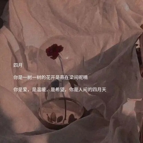 超温柔的文案配图