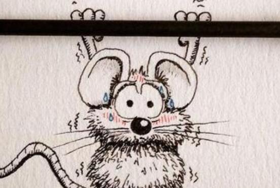 搞笑文案短句沙雕