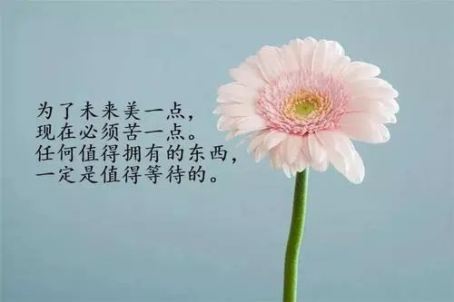 简单快乐的心情说说文案