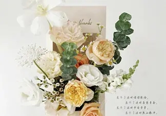 感恩教师节发朋友圈的句子文案