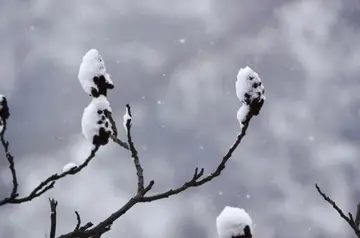 下雪了怎么发朋友圈说说文案