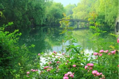 初春景色的诗句文案