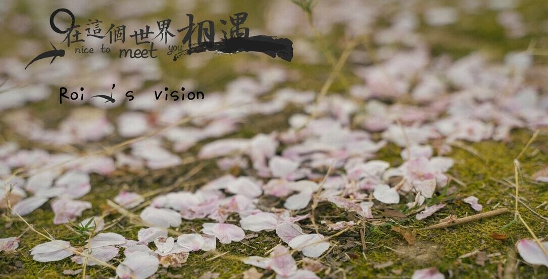 好词好句文案好段摘抄短句