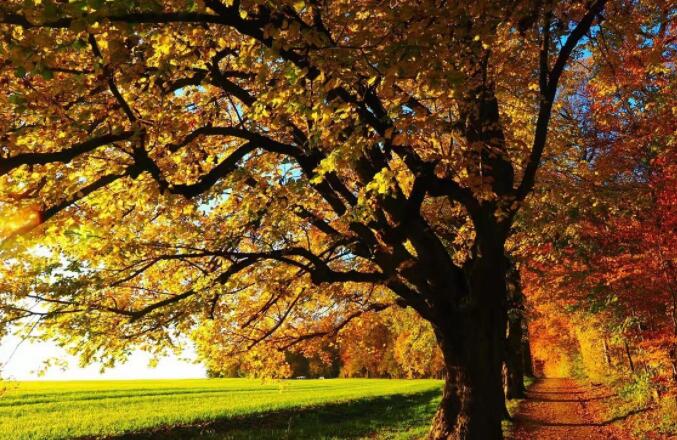 心灵鸡汤激励女人的句子文案