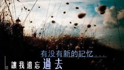 强忍内心伤痛的句子文案