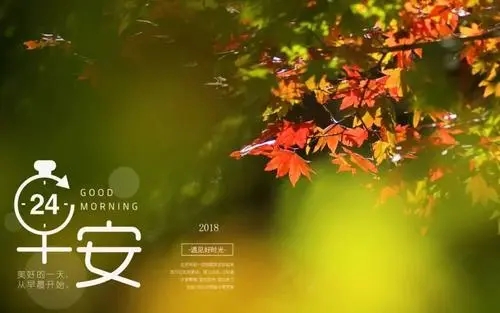 微商正能量早安语短句