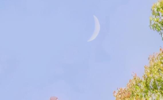 赞美暗恋的句子文案