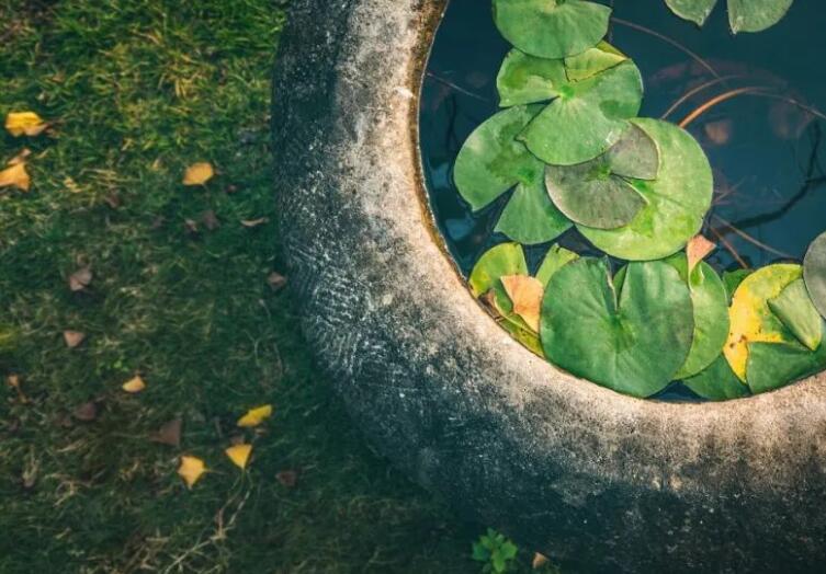 形容生活惬意的诗句文案