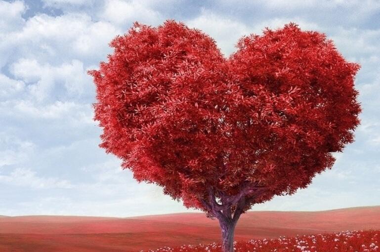 感恩语录文案经典短句