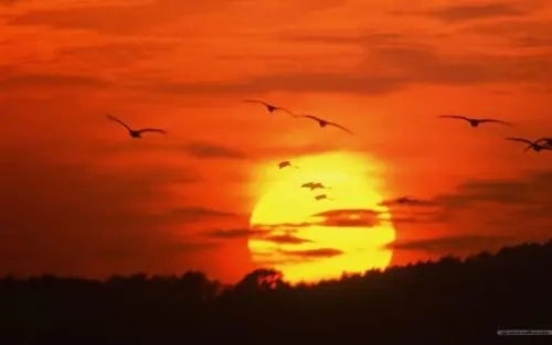 描写黄昏暮色的唯美句子文案