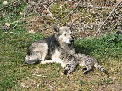 朋友圈暗示喜欢一个人说说文案