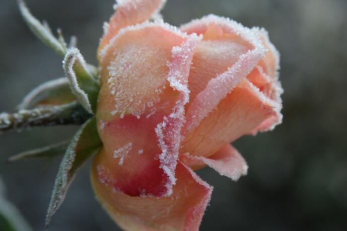 形容纠结与抉择的诗句文案