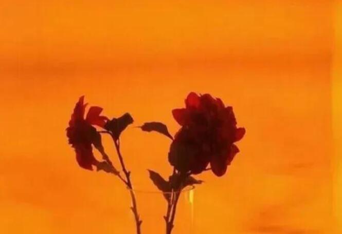 有内涵的八个字的句子文案