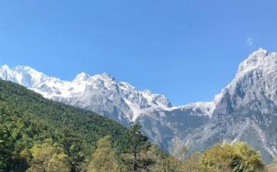 励志语录文案八字短句感恩国家