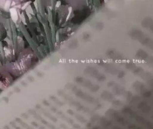 好词好句文案摘抄大全