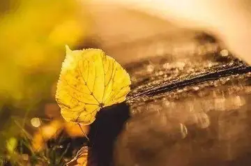 活出自己的经典句子文案