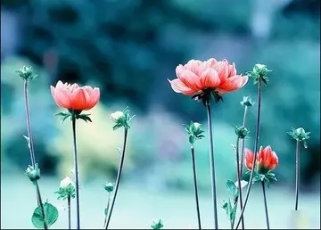 春分的朋友圈说说文案