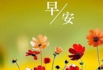 简短阳光早安问候语