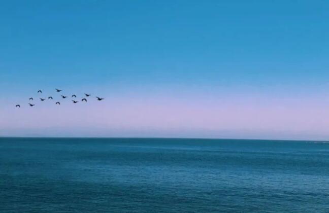 摘抄好的长短句