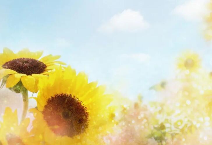 一年又一年唯美句子文案