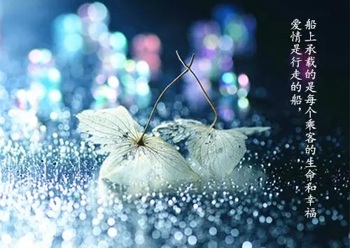 有意境的爱情语录文案