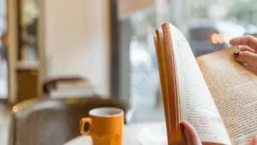 体现忙的句子文案五年级