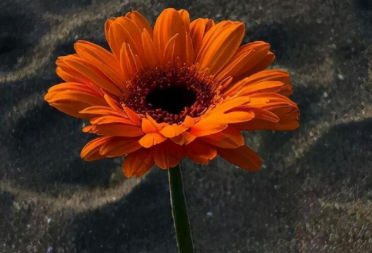 美好生活简短的签名