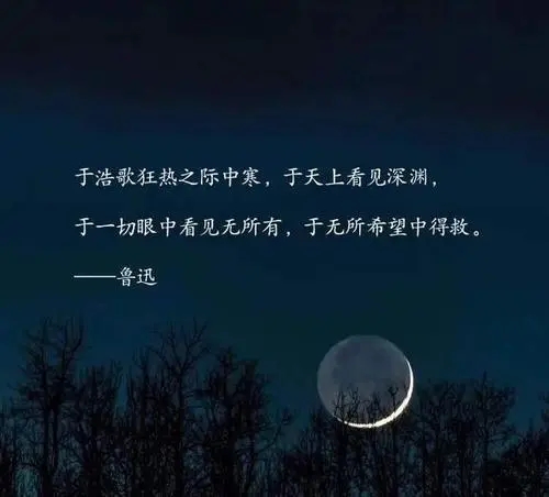 带有惊鸿的句子文案