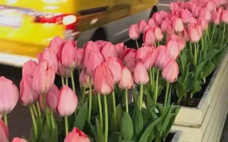 得了第一名祝贺的诗句文案