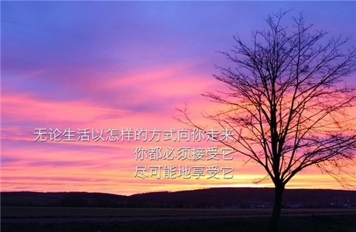 给女孩子留言的美句