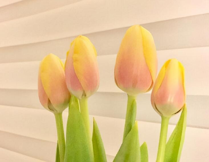 追妹子的情话文案大全短句