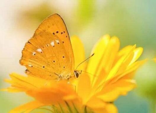 说说文案早安心情短语