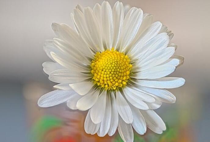 今日反省自己一句话