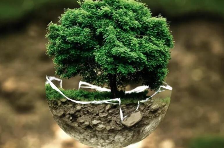 保护环境名人名言精选