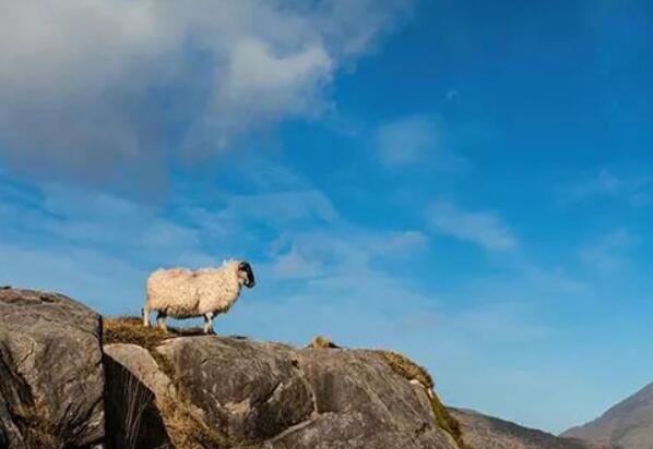 可爱调皮朋友圈句子文案