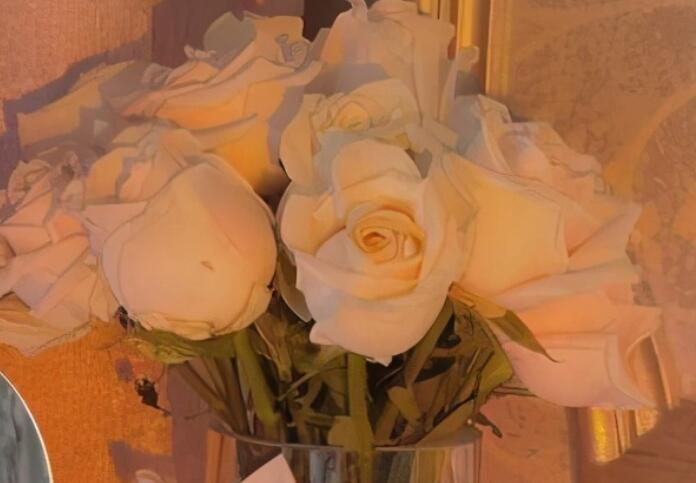 积极正能量句子文案简短