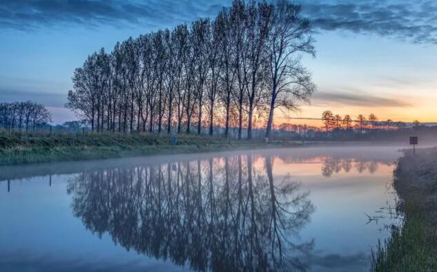 描写水中树倒影的优美句子文案