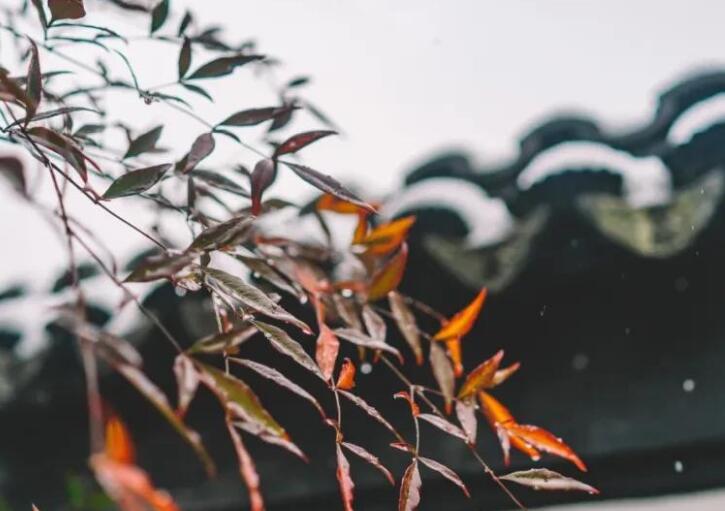 夜里惆怅的句子文案