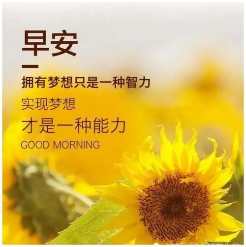 2024年最新的早安句子文案