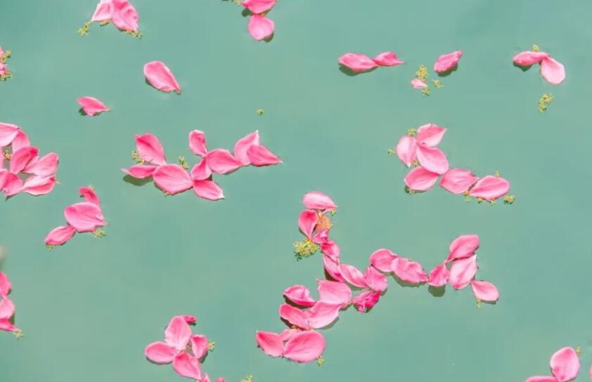 关于花的名言名句文案