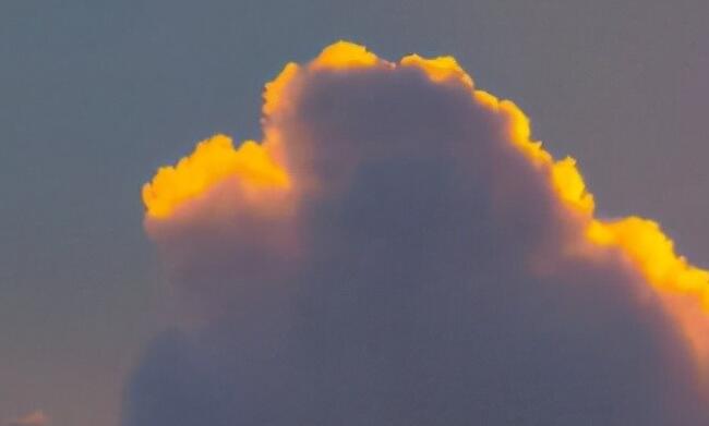 关于关爱的金句