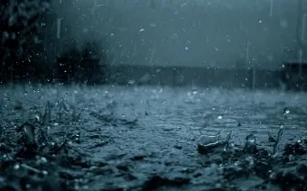 关于下大雨的句子文案