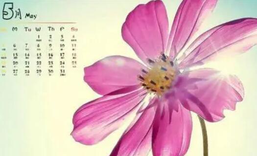 描写五月开头的最美的诗句文案