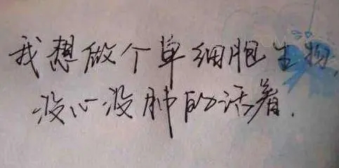 女人自信的幽默句子文案