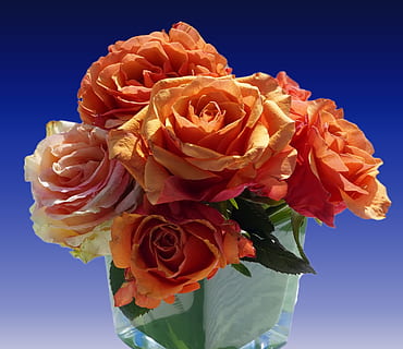 对男人温柔体贴的话